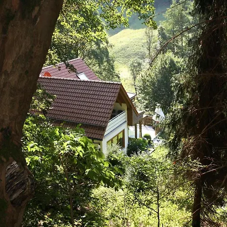 Haus Am Berg, Lonau, Cleaning Included Lonau